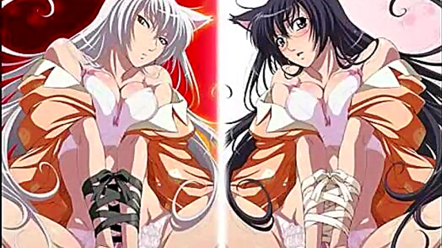 Horny Hentai Girls Seduce in Ecchi Anime Volume 13