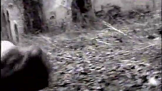 Cute Anime Chick Rides Dick Hard For Juicy Hentai Orgasm