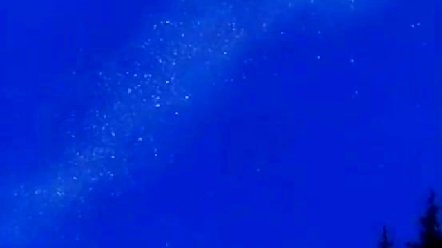 Horny Hentai Couple Gets Wild With Forest Sex Adventure