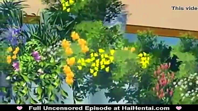 Virgin Anime Teacher Gets Big Tits Fucked For First Orgasmic Cream Pie