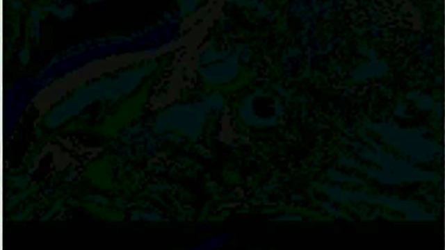 Private Nurse Gives seductive Eroge Treatment With Hentai Passion