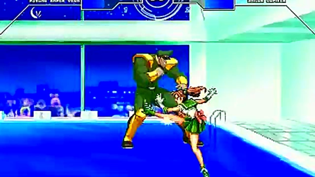 Hentai Fighter Queen Engages In Intense MUGEN Sex Session