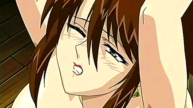 Hentai Anime Depravity Vol.1 – Cartoon Cuties Get Wild In Explicit Acts