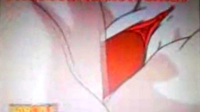 Videl Rides Gohan's DragonBall Z Dick In Sexy Hentai Action