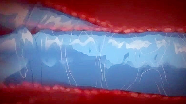 Beloved Mother 1 - Blindfolded and tied up mom has hentai sex with nephew and son