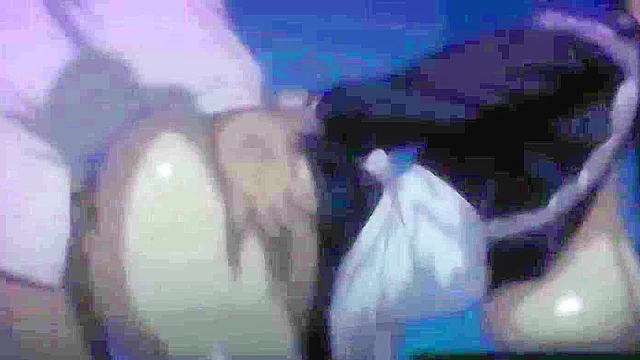 Palace of Wicked Conception 2 - Busty anime mom and daughter get creampied next to each other