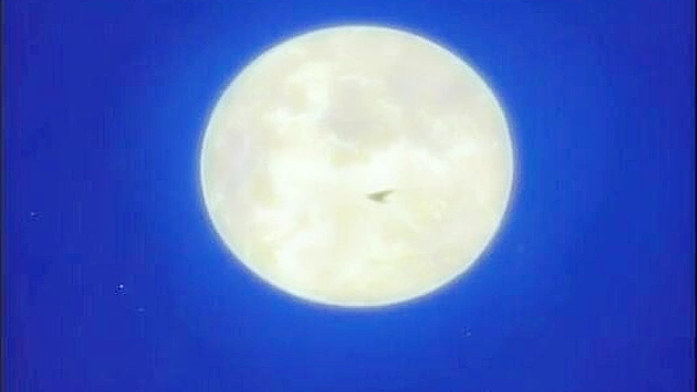 Purple haired anime girl is having sex in the dark forest with a boy and has a huge climax