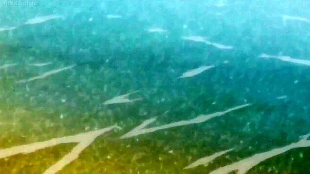 Busty anime teen is giant sized with worldest biggest boobs