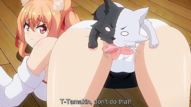 Hyakkiya Detective Office 3 - Catgirl gets creampied by big dicked futanari