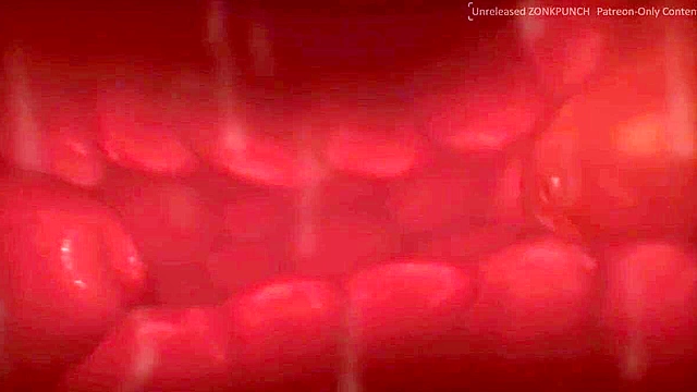 Charizard grabs a furry animal friend and gives her a face fucking