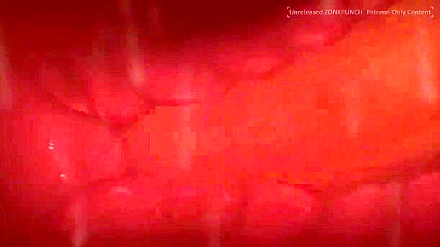 Charizard grabs a furry animal friend and gives her a face fucking