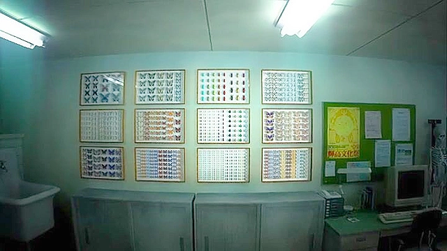 Dirty hentai schoolgirl ties up her senpai and femdom fucks him