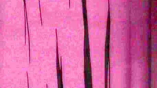 Tied up slaves take a beating for sadistic pleasure and bdsm