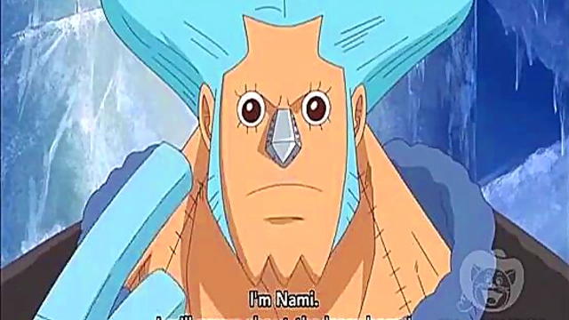 Hentai Nami & Robin One Piece Anime Sex Loop