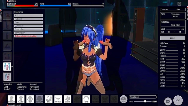 Sexy Maids GiveDual Blowjob And Nighttime Pussy Action In Custom Maid 3D