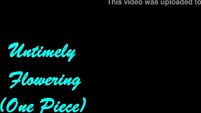 One Piece Hentai Slideshow – Nami & Robin's Extreme Anal Group Session