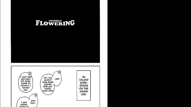 One Piece Hentai Slideshow – Nami & Robin's Extreme Anal Group Session