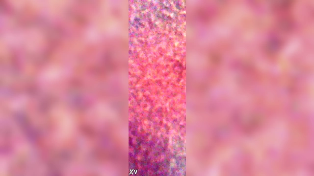 Hardcore Hentai Action With Intense Fucking And Explosive Orgasms