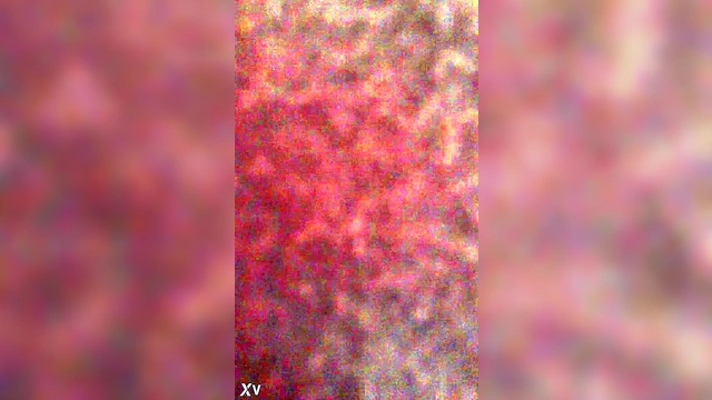 Hardcore Hentai Action With Intense Fucking And Explosive Orgasms