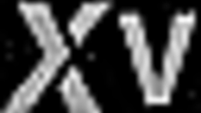 Hentai Battle for Dream Island – Loser Gets CreamPie&Cock Feast