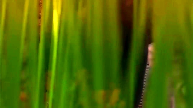 3D Anime Family Lust – Second Life Farm Fantasies Explode With Desire