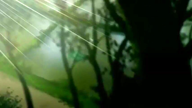 Hot Anime Teen Gives Intense Blowjob For Steamy Sex Session