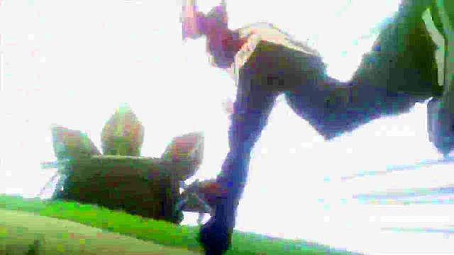 Horny Anime Chick Gets Fucked Hard in Kekkai Sensen & Beyond Sub Español