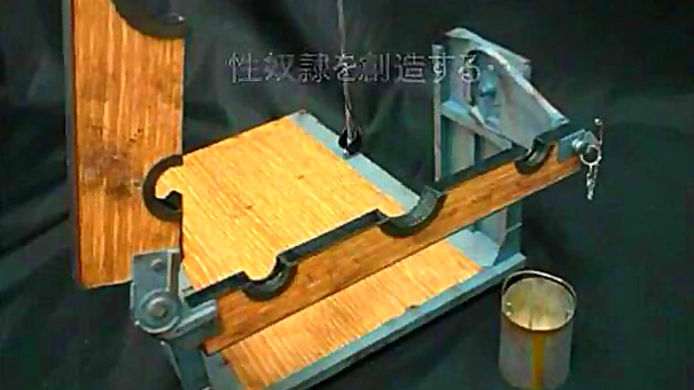 Hentai Doll Love – Moe Video With Sex Scenes Featuring Seductive Dolls