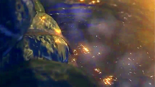 3D Hentai Monster GangBang – Hardcore Anime Sex With Uncensored Porn Action