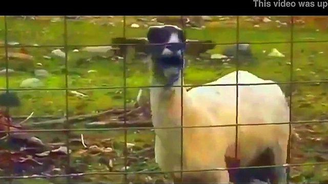 Hot Anime Princess Hime Gives Boquete To Monster In Sexy Taimanin Scene