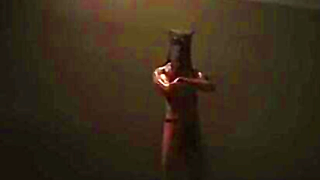 Shinobi Lesbians Unleash Passionate Techniques in 3D Hentai Fantasy