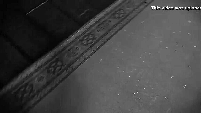 Big-Assed Anime Babe Rides Hardcock for Hardcore 3D Pleasure