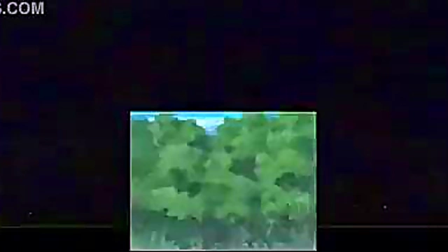 Hinata & Sakura Trap Dance for MC Naruto in Anime Artistry Heat