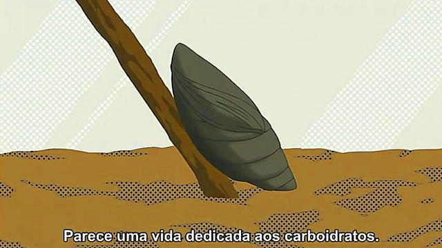 Sunshine Moments – Hidamari Sketch Shoujo-Ai Anime Slice of Life