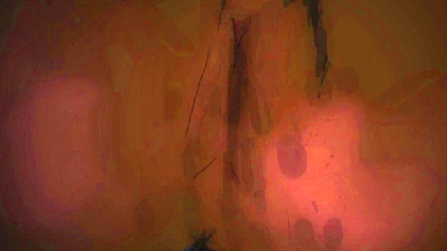 Hypnotized by Snake Goddess Kaa – Taki's Mind-Controlled Coils Submission