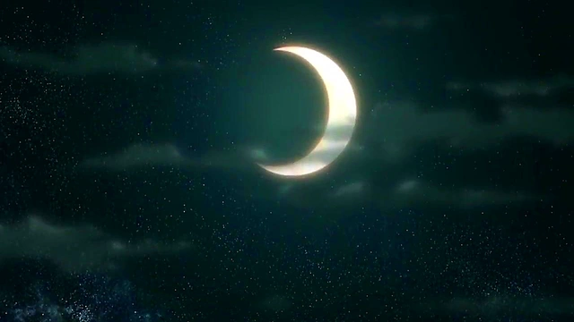 Jojo's Bizarre Adventure – Uncensored Anime Action & Passionate Moments Revealed