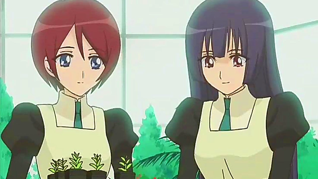 Strawberry Panic Yuri Anime – Girls Explore Passionate Desire Together