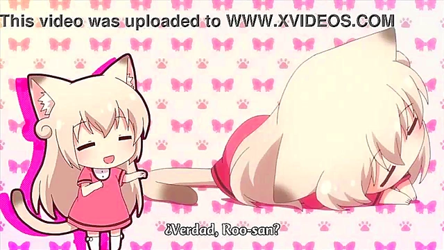 Cute Nekos Get Wild in Nyanko Days Anime Adventure