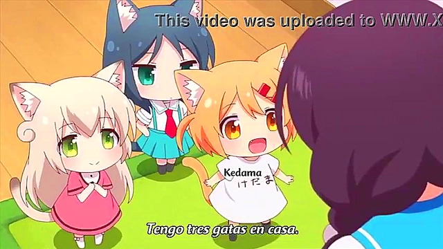 Cute Nekos Get Wild in Nyanko Days Anime Adventure