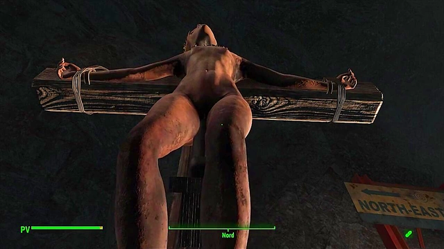 Hentai Anime Fallout 4 Babe Submits to BDSM Gode Pleasure