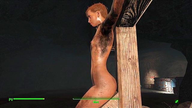 Hentai Anime Fallout 4 Babe Submits to BDSM Gode Pleasure