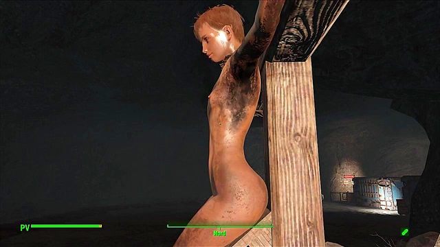 Hentai Anime Fallout 4 Babe Submits to BDSM Gode Pleasure