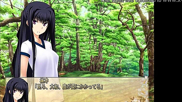 Hentai Anime Couple Enjoy Missionary Sex Leading to JuicyCreampie