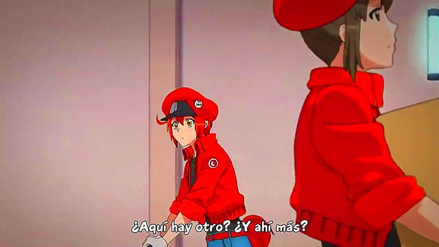 Work Cell Anime – Hataraku Saibou Episode 1 Eng Sub Hentai Adventure Begins