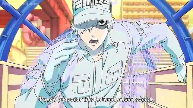 Work Cell Anime – Hataraku Saibou Episode 1 Eng Sub Hentai Adventure Begins