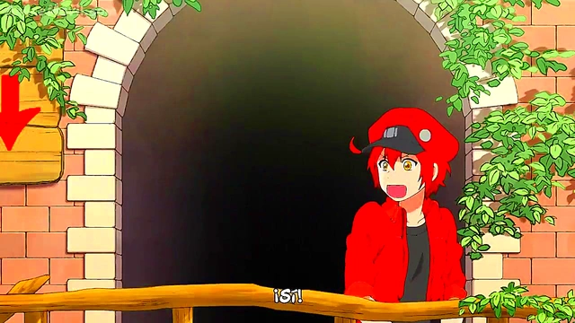 Work Cell Anime – Hataraku Saibou Episode 1 Eng Sub Hentai Adventure Begins