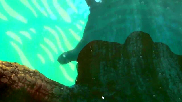 Ride Your Wave – Kimi To Nami-No-Naretara Anime Movie