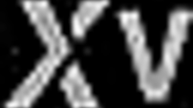 3D Cartoon Animation – Life in SecondLife SL Adventure Begins