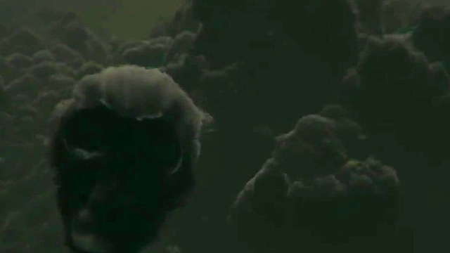 Slovak Celebrity Matej Jurkovic Stars in Outdoor Fantasy Cosplay Porn Series Trailers