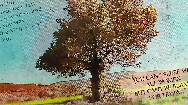 Fantasy Cosplay Gamers Seduce in First Hentai Porn Series for Ultimate Pleasure